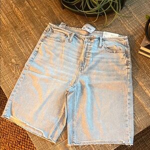 American Eagle Outfitters Light Blue Jean Shorts